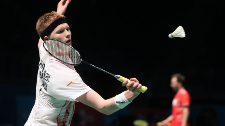 担任球队的 担任球队的