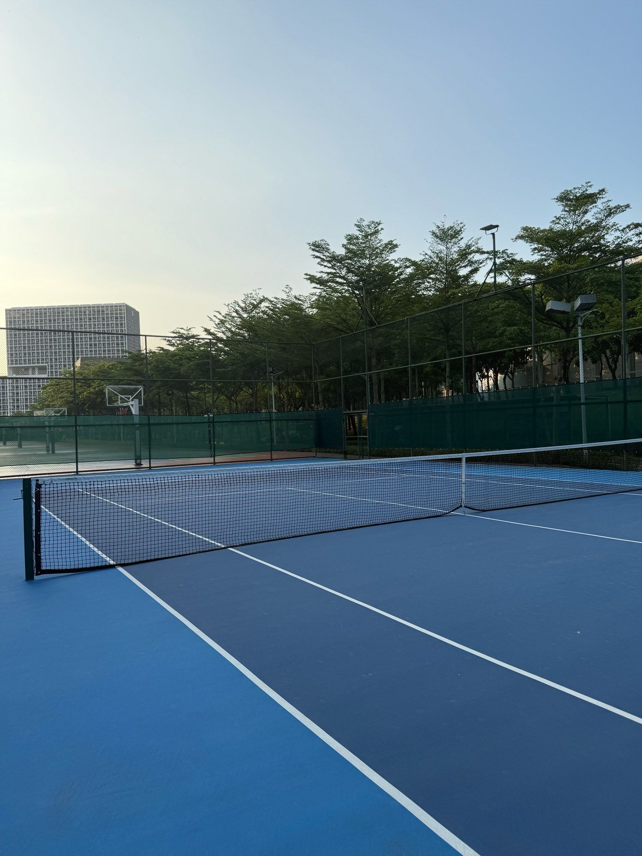 球员们的眼 球员们的眼