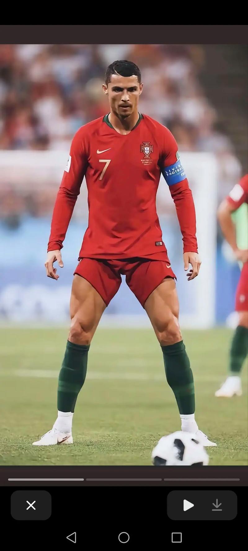 几乎肉眼可 几乎肉眼可